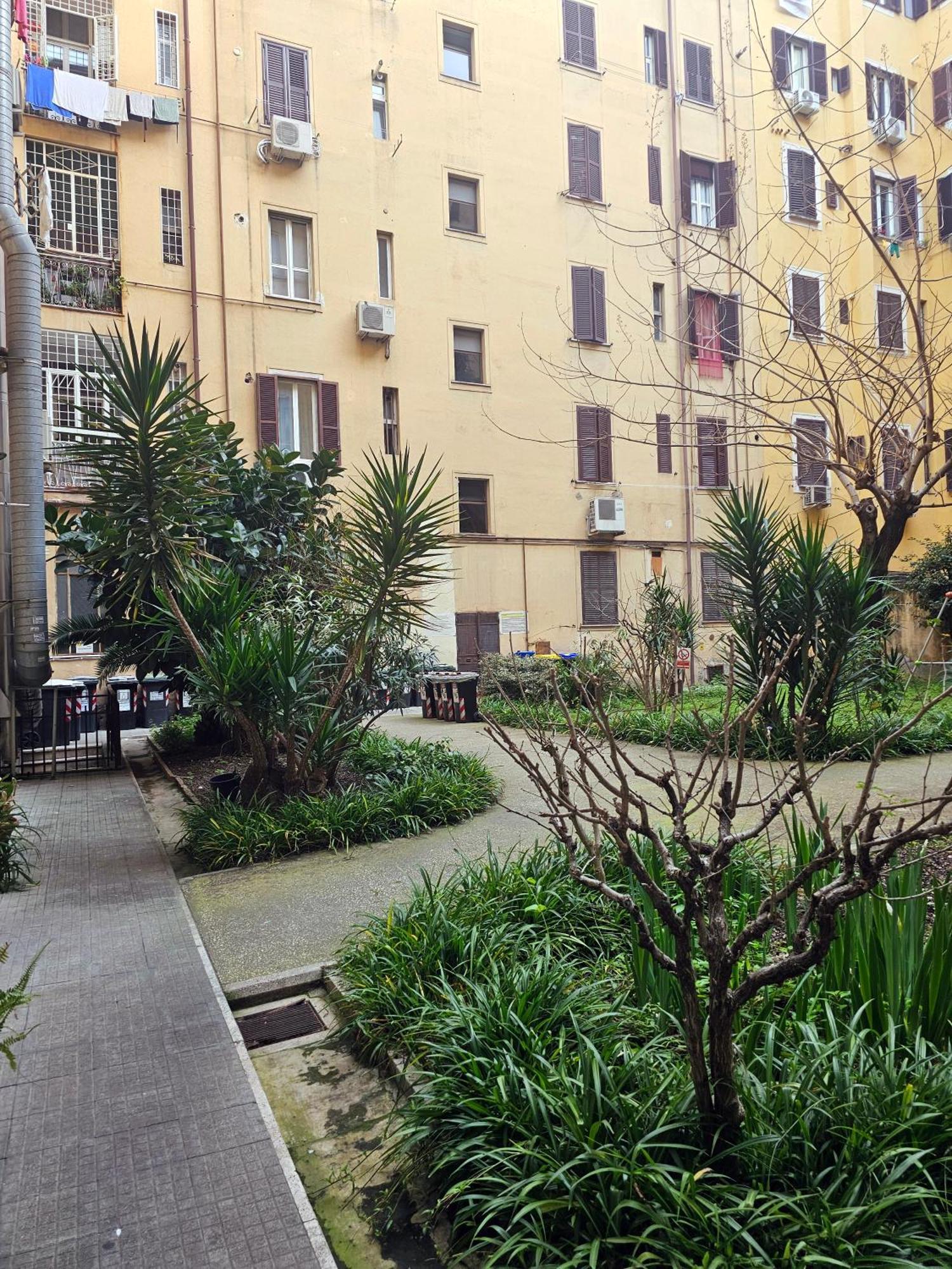 Cialdini 13 Roma Hotel Exterior photo